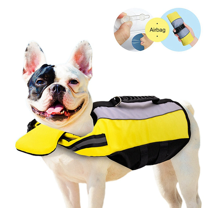 Protect Your Pet with the Ultimate Safety Gear