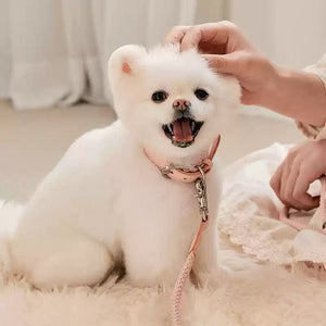Discover the Perfect Leather Pet Collar Hand Rope Leash