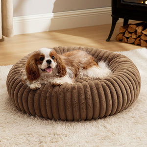 Pamper Your Pet with the Ultimate Winter Comfort