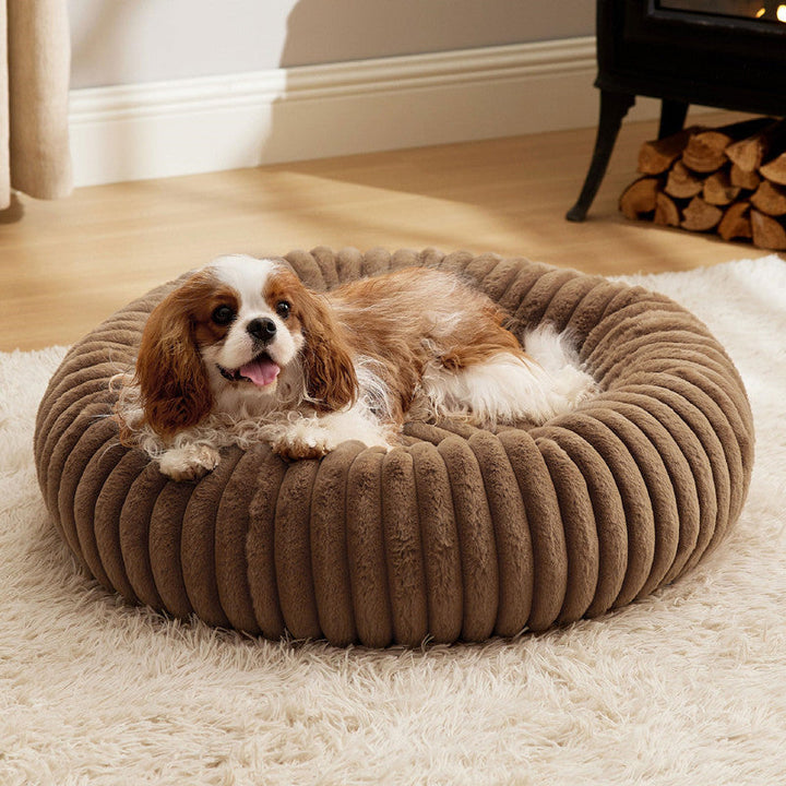Pamper Your Pet with the Ultimate Winter Comfort