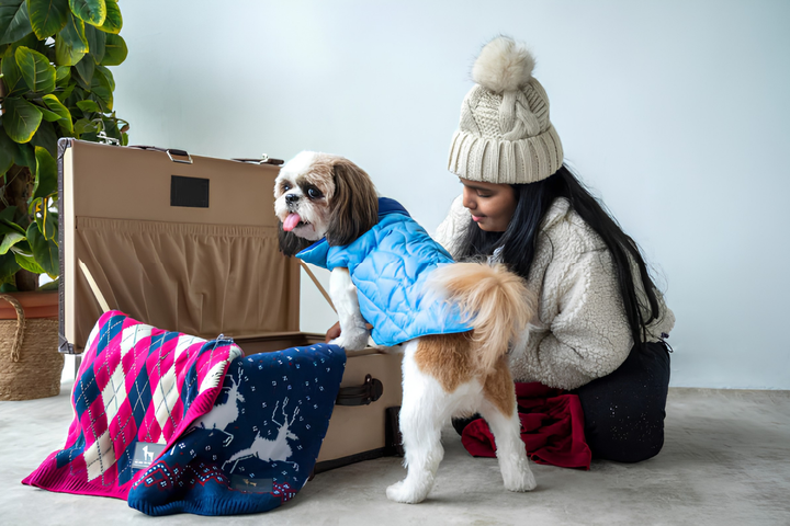 Stylish Pet Clothes For Every Season Comfort