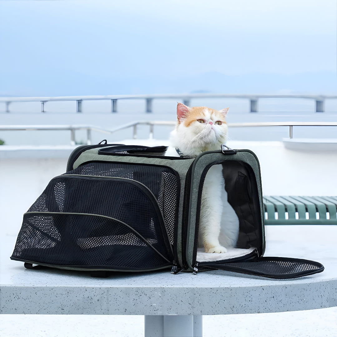 Essential Pet Carriers For Safe Travel Adventures