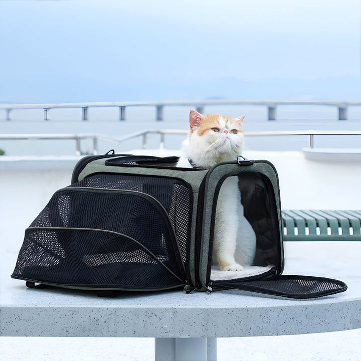 Essential Pet Carriers For Safe Travel Adventures