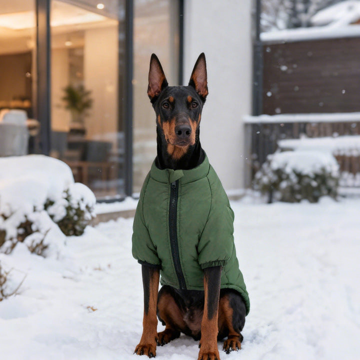 Pet Cotton Two Leg Jacket: The Perfect Blend of Style and Comfort