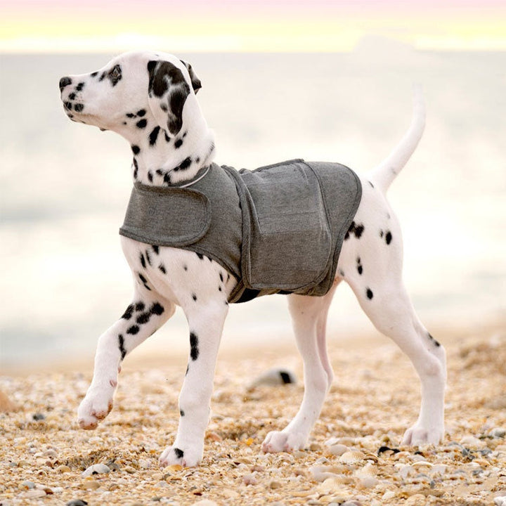 Transform Your Pet's Comfort with Our Pet Anxiety Warm Vest Jacket