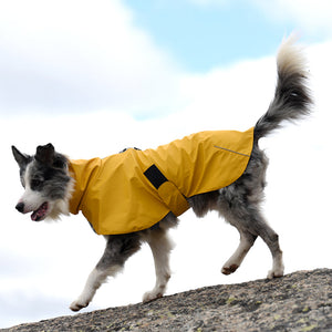Why Your Pet Needs a Waterproof Windproof Shell Raincoat Jacket