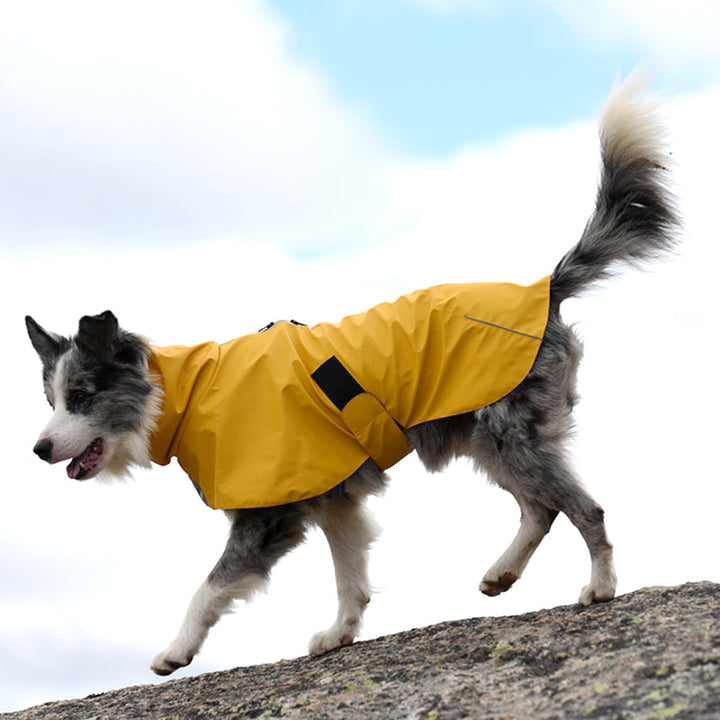 Why Your Pet Needs a Waterproof Windproof Shell Raincoat Jacket